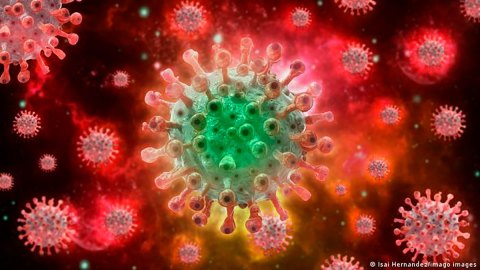 Viruela del mono supera 50.000 casos a nivel mundial