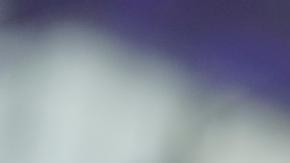 Biden rechaza declarar a Rusia "Estado patrocinador del terrorismo"