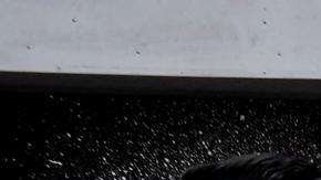 Putin y portavoz rusa se burlan de elección "poco democrática" de Truss en Reino Unido