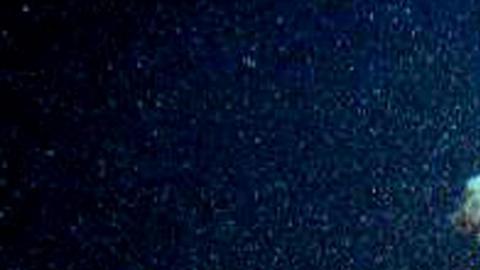 Nuevo video en 8K muestra el naufragio del Titanic con detalles sin precedentes