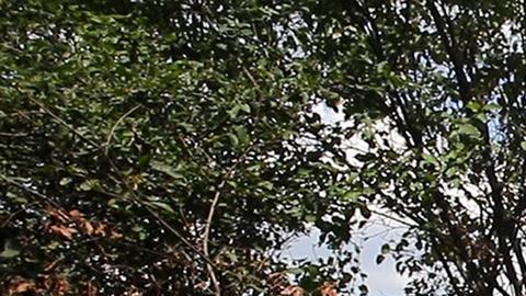 Rusia anuncia la retirada de tropas de la zona de Járkov en Ucrania