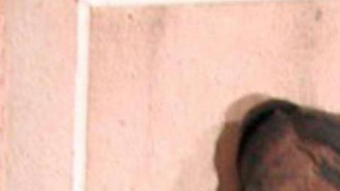 Autopsia de dos momias sudamericanas de 1,000 años revela que fueron brutalmente asesinadas