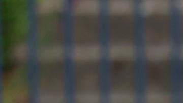 Carlos III hace su primera visita a Irlanda del Norte como rey