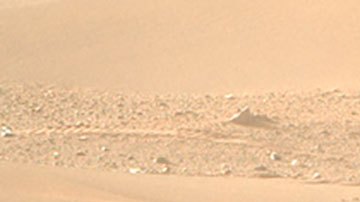 Róver Perseverance de la NASA capta el primer "gato" en Marte