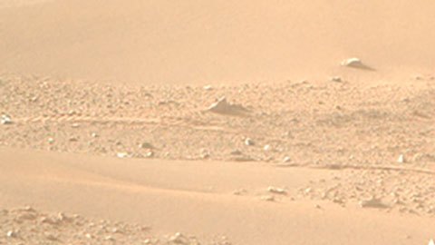 Róver Perseverance de la NASA capta el primer "gato" en Marte