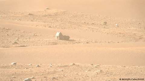 Róver Perseverance de la NASA capta el primer "gato" en Marte