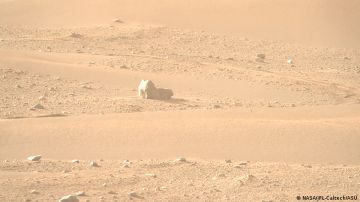 Róver Perseverance de la NASA capta el primer "gato" en Marte