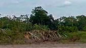 Perú declara emergencia en zona de Amazonía por derrame de petróleo