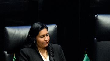 El presidente de Alemania, Frank-Walter Steinmeier, habla en el senado de México.