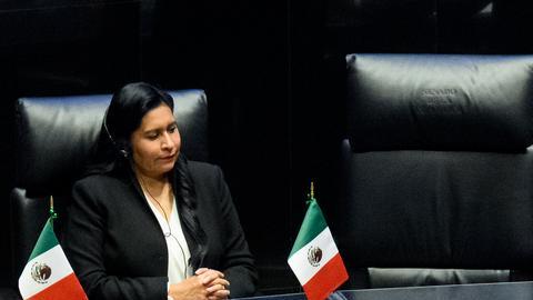El presidente de Alemania, Frank-Walter Steinmeier, habla en el senado de México.