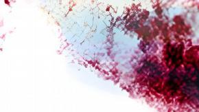 Científicos prueban una nueva estrategia de vacunación para combatir el VIH