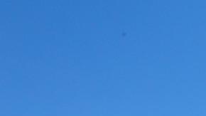 EE. UU.: Casa Blanca califica como "catastrófico" fallo de Arizona sobre el aborto