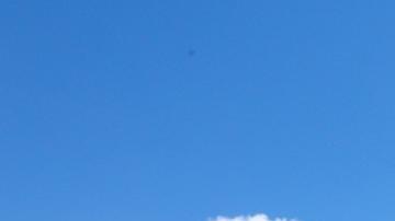 EE. UU.: Casa Blanca califica como "catastrófico" fallo de Arizona sobre el aborto