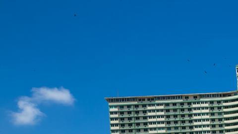 Cubanos concluyen votación sobre “Código de las familias”