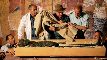 La momia de la reina Nefertiti podría haber sido encontrada, según destacado egiptólogo