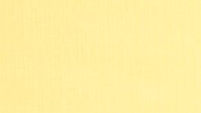 Alessandra Rosaldo y Eugenio Derbez.