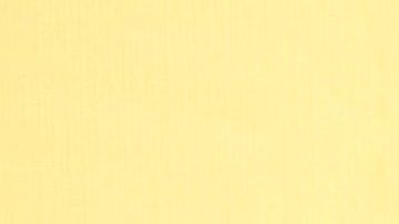 Alessandra Rosaldo y Eugenio Derbez.