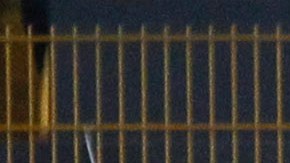 Un aficionado de Rayados fue captado con una camiseta de Tigres.