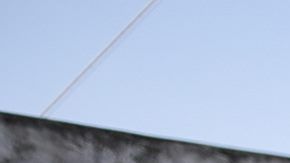 Al menos 10 muertos acribillados a balazos después de que una banda armada con rifles abriera fuego en billar de Guanajuato, México