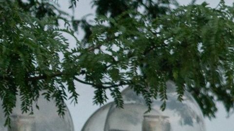 Altercado durante un partido de beisbol en parque de Chicago termina con un tiroteo que deja un muerto y 6 heridos