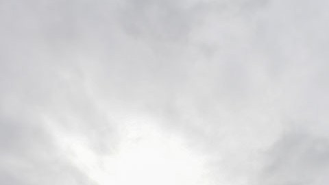 El gigante del comercio electrónico siguió con sus operaciones en plena tormenta