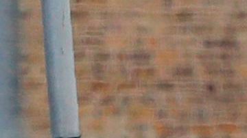 Aplastan la cabeza de pasajero de metro de Londres, mientras orinaba entre dos vagones en movimiento