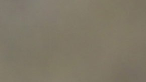 Bárbar Olivieri de Rayadas de Monterrey.