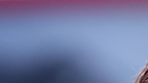 Brad Pitt y Emily Ratajkowski