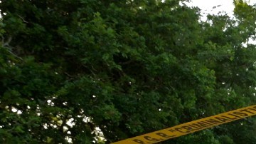 Búsqueda de personas desaparecidas