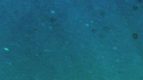 Decenas de cuerpos han sido arrojados al mar de Cortés