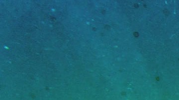 Decenas de cuerpos han sido arrojados al mar de Cortés