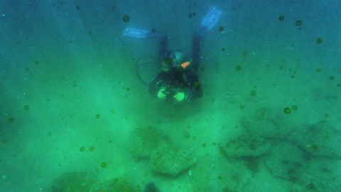 Decenas de cuerpos han sido arrojados al mar de Cortés