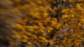 Prime Video trae de regreso a la vida La Tierra Media con "The Lord Of the Rings: The Rings of Power".