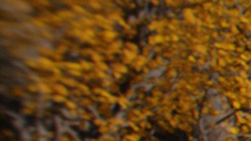 Prime Video trae de regreso a la vida La Tierra Media con "The Lord Of the Rings: The Rings of Power".