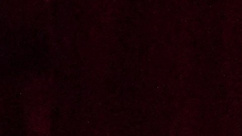 Carlos III declarado formalmente rey con la proclamación del Consejo de Adhesión