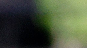 Chicharito Hernández no vive un buen momento con el LA Galaxy.