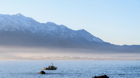 Cinco muertos después de que una ballena emergió debajo de un bote y lo voltea, arrojando a los pasajeros en agua helada