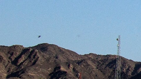 Cobran coyotes $12,500 dólares por llevar a migrantes a EE.UU.