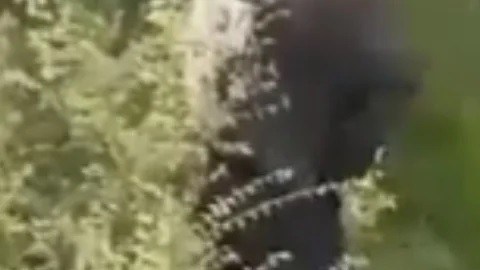 Comandante mexicano secuestrado