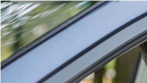 El desempeño de la conducción ha sido evaluado en estos estados para determinar que poseen a los peores conductores de EE.UU.