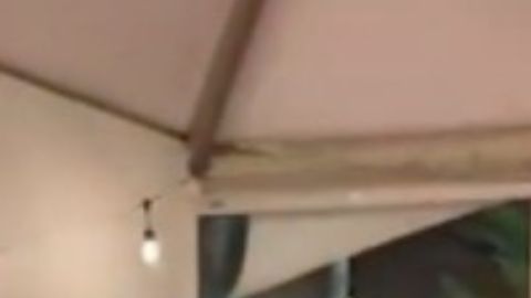 Mujer es contratada por error para cantar en la boda de su ex, lo humilla por infiel