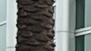 D23 Expo 2022 en Anahein, California