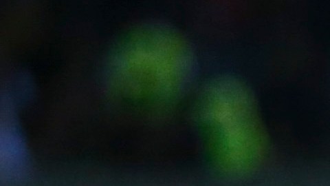 Dani Alves futbolista brasileño de los Pumas.
