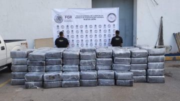 Decomiso de droga en Nuevo León