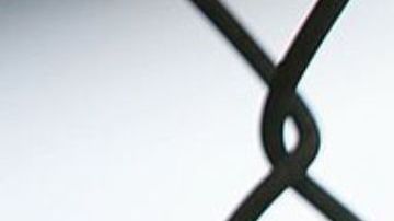 Encarcelan a maestro por negarse a usar lenguaje inclusivo