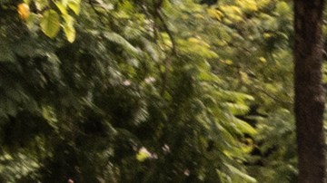 El 19 de septiembre está maldito en México tres grandes terremotos han ocurrido el mismo día