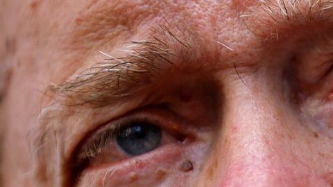 Steve Bannon