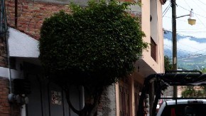 Escena del crimen en México