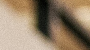 Exoficial de policía de Minneapolis, Thomas Lane, sentenciado a 3 años de prisión por ayudar a matar a George Floyd