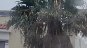 Explosión en Coahuila